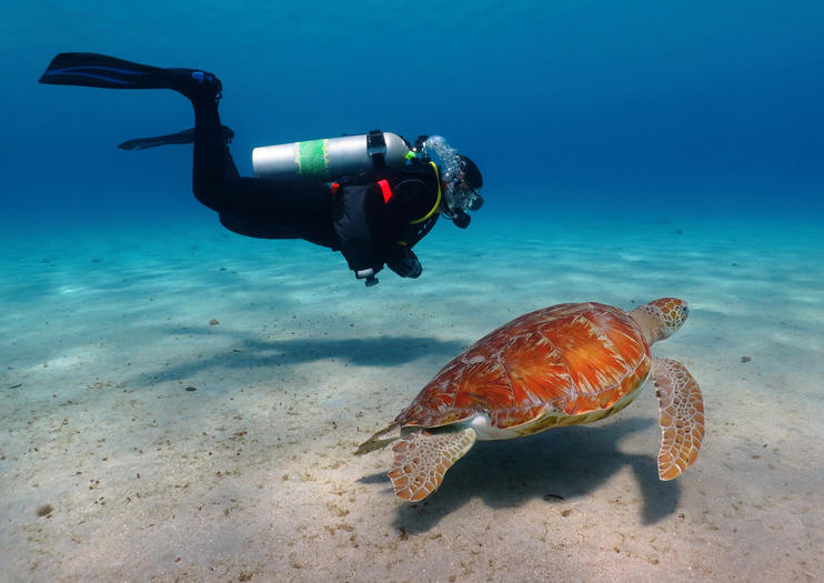 How to Spend 1 Day in Bonaire